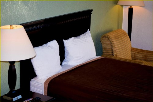 Stay Inn - Bartow - image 33