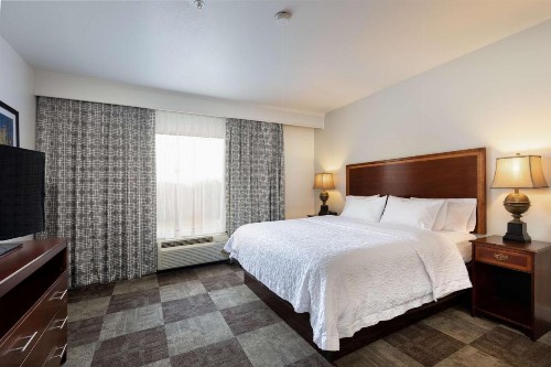 Hampton Inn & Suites Baton Rouge - I-10 East - image 26