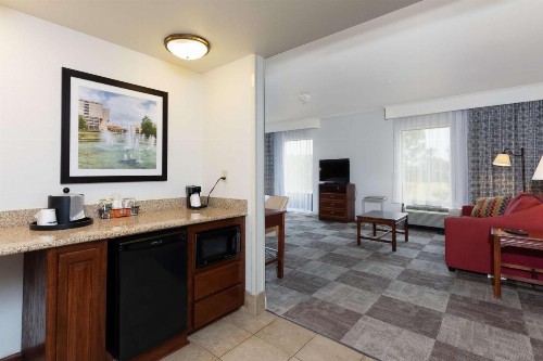 Hampton Inn & Suites Baton Rouge - I-10 East - image 46