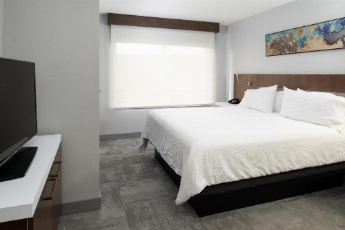 Hilton Garden Inn Baton Rouge Airport - image 25