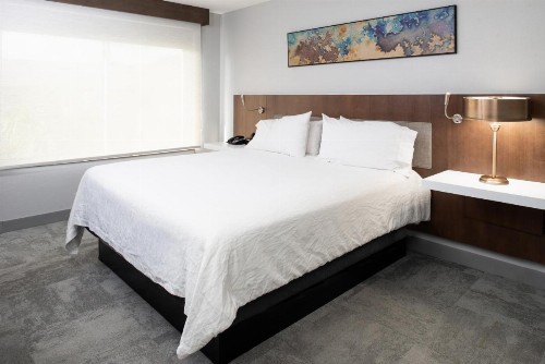 Hilton Garden Inn Baton Rouge Airport - image 28