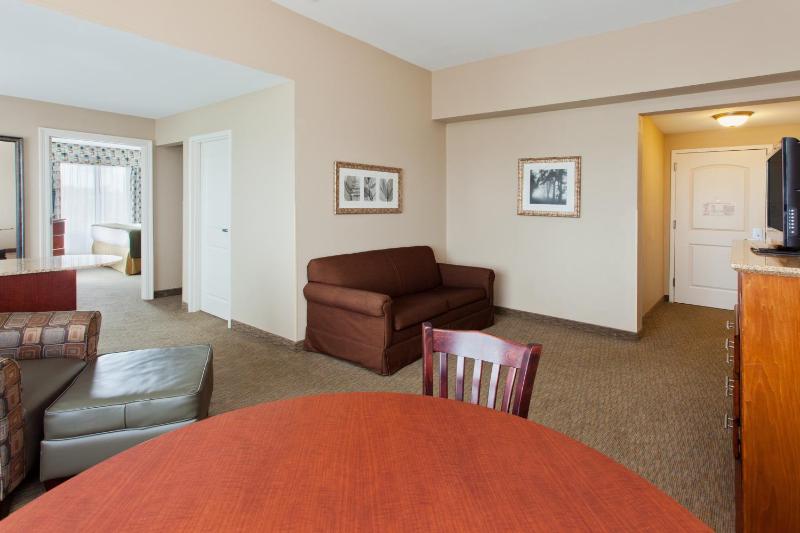 Holiday Inn Express & Suites Baton Rouge East an IHG Hotel - image 5