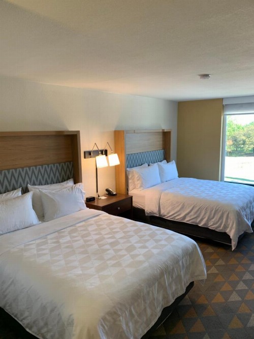 Holiday Inn Baton Rouge-South an IHG Hotel - image 3