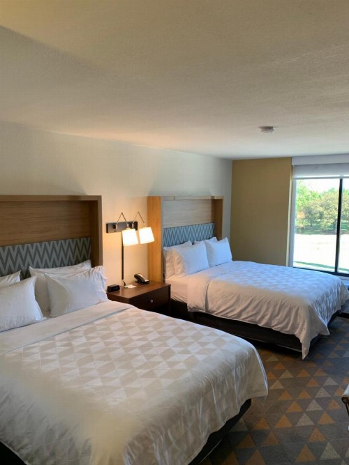 Holiday Inn Baton Rouge-South an IHG Hotel - image 4