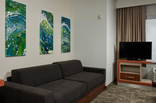 SpringHill Suites by Marriott Baton Rouge North / Airport - image 11