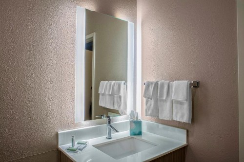 SpringHill Suites by Marriott Baton Rouge South - image 9