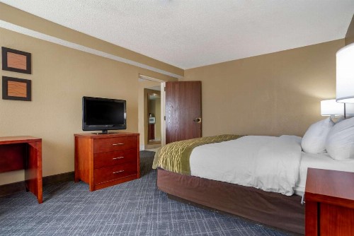 Comfort Inn University Area - image 10