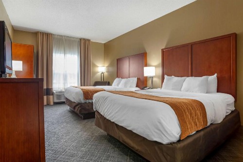 Comfort Inn University Area - image 11