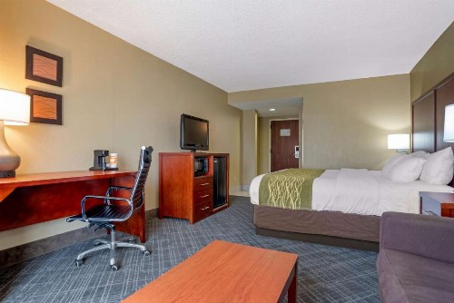 Comfort Inn University Area - image 12