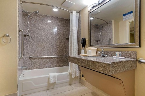 Comfort Inn University Area - image 14