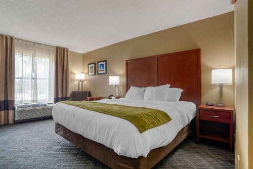 Comfort Inn University Area - image 16