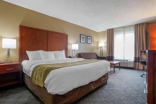Comfort Inn University Area - image 17