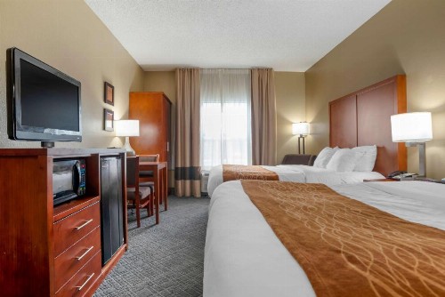 Comfort Inn University Area - image 20