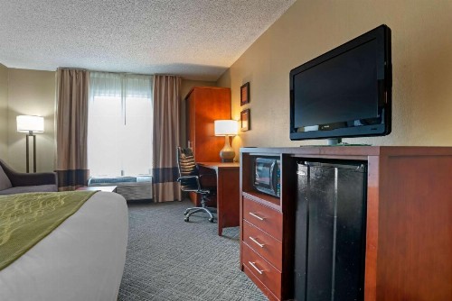 Comfort Inn University Area - image 21