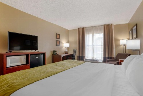 Comfort Inn University Area - image 22