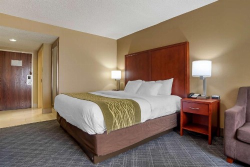 Comfort Inn University Area - image 25