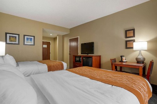Comfort Inn University Area - image 28