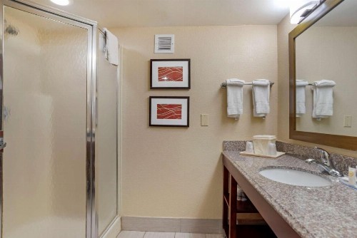 Comfort Inn University Area - image 3