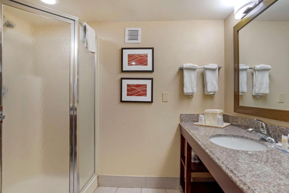 Comfort Inn University Area - image 3