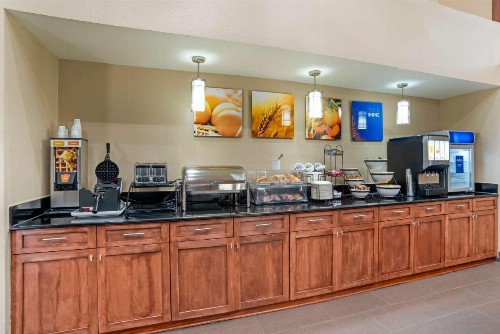 Comfort Inn University Area - image 30