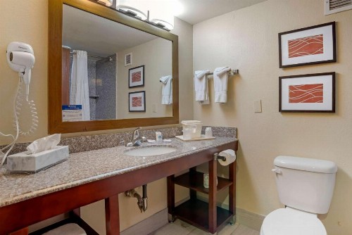 Comfort Inn University Area - image 4