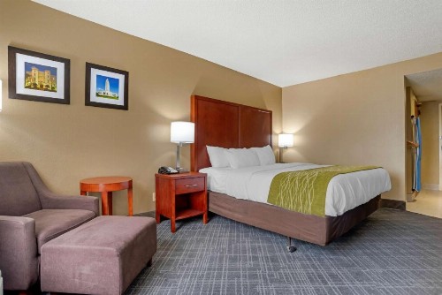 Comfort Inn University Area - image 6