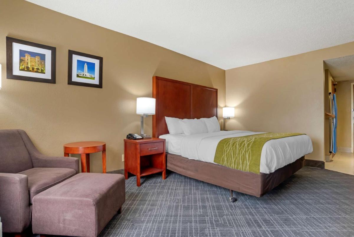 Comfort Inn University Area - image 6