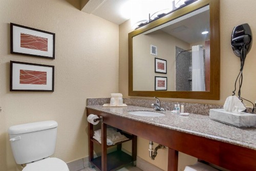 Comfort Inn University Area - image 8