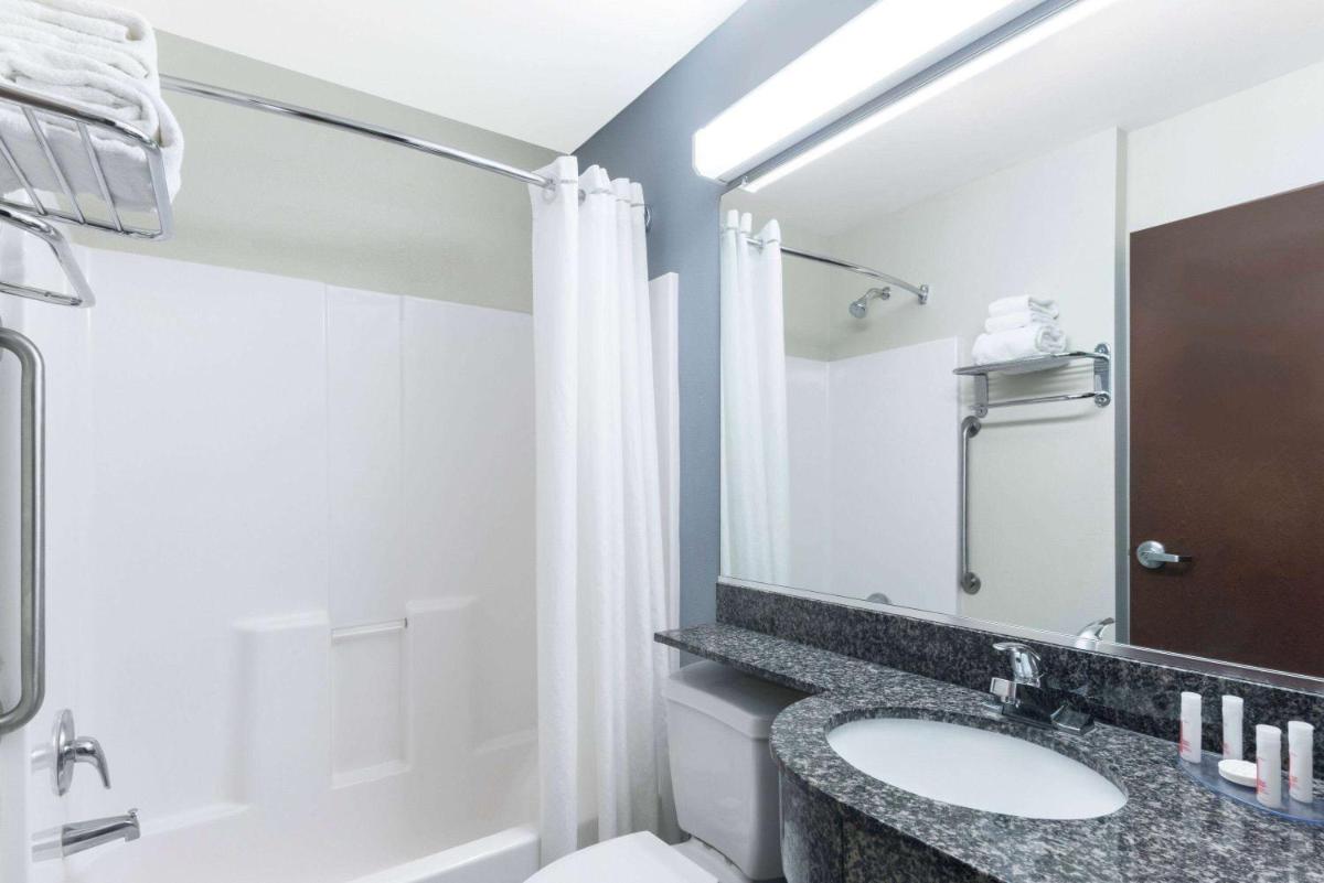 Microtel Inn and Suites Baton Rouge Airport - image 7