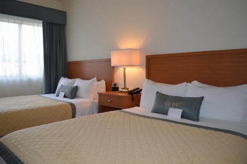 Wyndham Garden Baton Rouge - image 42