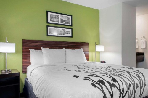 Sleep Inn Baton Rouge East I-12 - image 21
