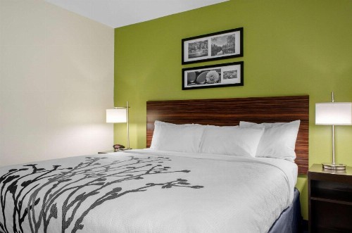 Sleep Inn Baton Rouge East I-12 - image 23