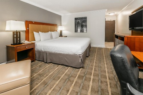 Richmond Inn & Suites Trademark Collection by Wyndham - image 6