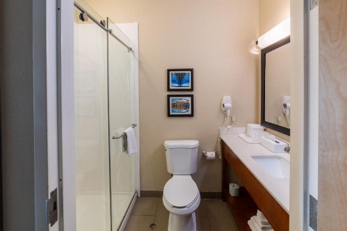 Comfort Inn & Suites Baton Rouge Airport - image 10