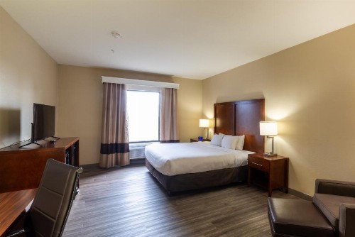Comfort Inn & Suites Baton Rouge Airport - image 11