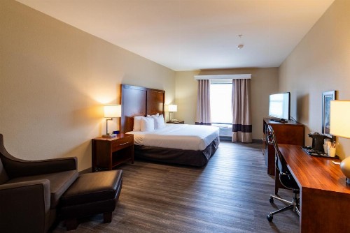 Comfort Inn & Suites Baton Rouge Airport - image 13