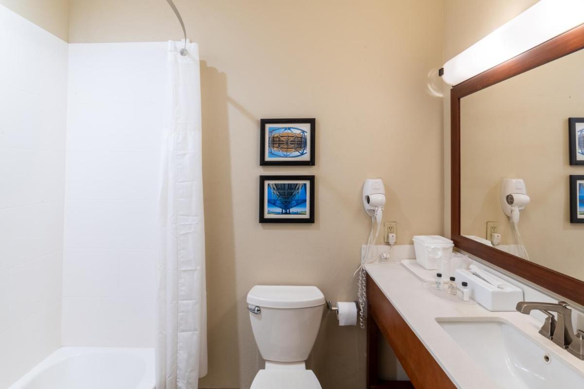Comfort Inn & Suites Baton Rouge Airport - image 3