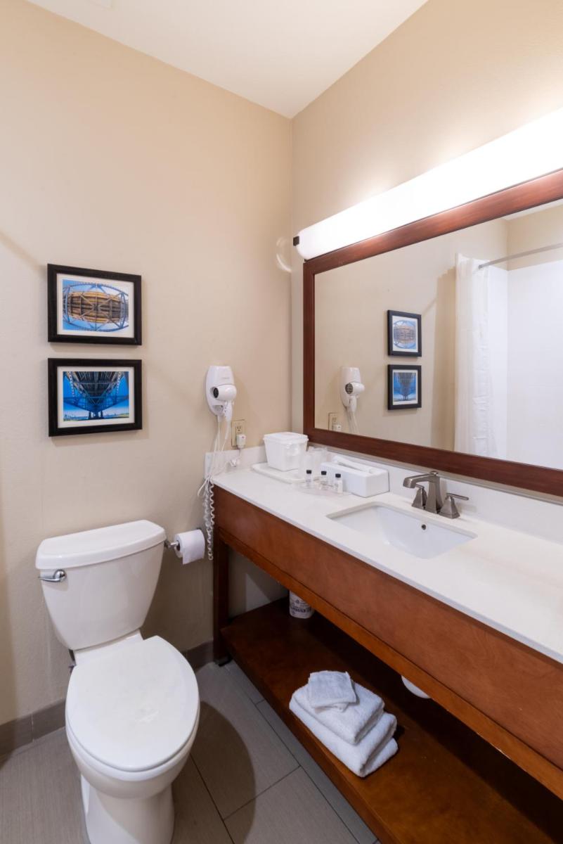 Comfort Inn & Suites Baton Rouge Airport - image 6