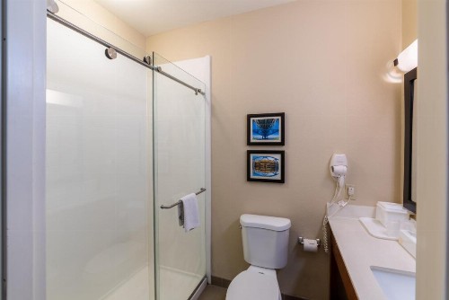 Comfort Inn & Suites Baton Rouge Airport - image 7