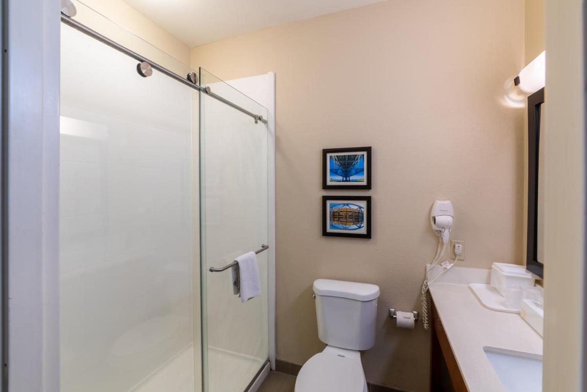 Comfort Inn & Suites Baton Rouge Airport - image 7