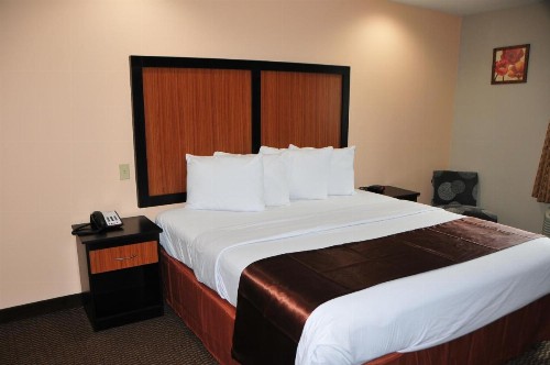 Paradise Inn & Suites - image 15