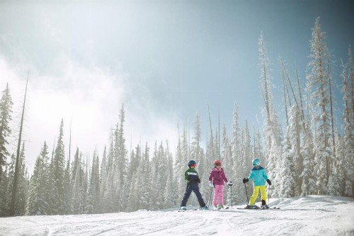 Newly Renovated 2 Bed 2 Bath Beaver Creek Condo Condo - image 28