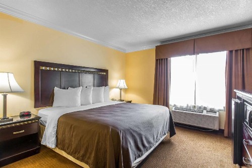 Quality Inn & Suites Bell Gardens-Los Angeles - image 22