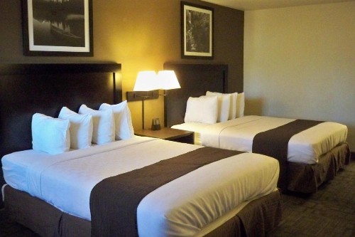 Sugarloaf Mountain Motel - image 3