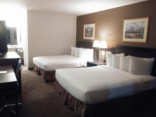 Sugarloaf Mountain Motel - image 5
