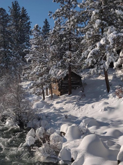 Riverhouse on the Deschutes - image 7