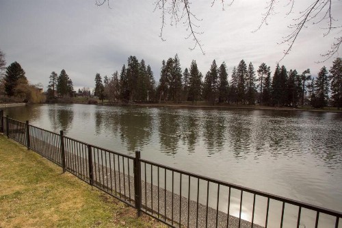 Mirror Pond - image 7