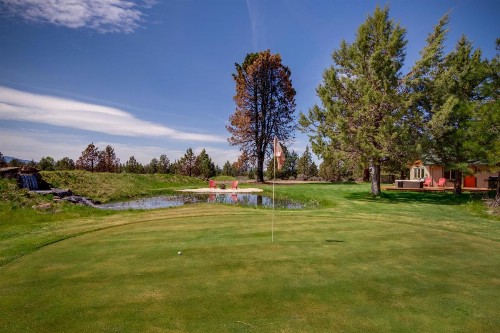 Apache Greens - image 3