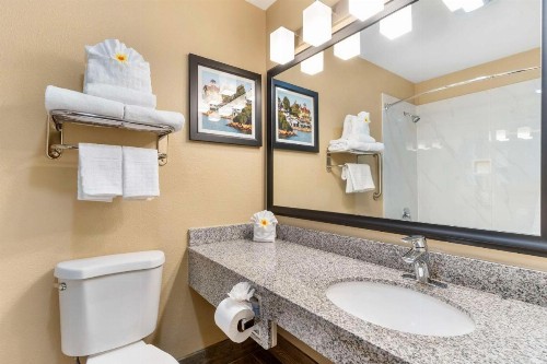 Best Western Plus Heritage Inn - image 45