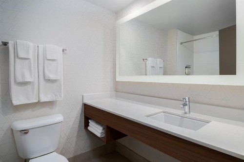 Holiday Inn Express Hotel & Suites Bentonville - image 30